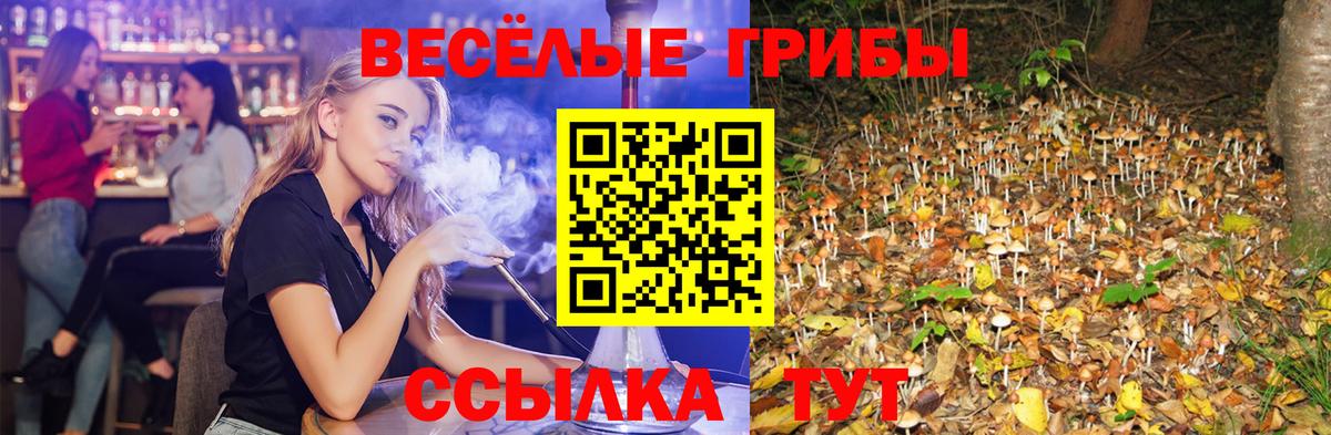 Псилоцибиновые грибы мицелий Зеленодольск